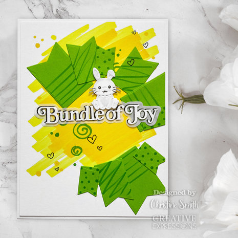 Creative Expressions Sue Wilson Craft Die Mini Shadowed Sentiments Bundle Of Joy (CEDSS022) (OUTLET) Creative Expressions Sue Wilson Craft Die Mini Shadowed Sentiments Bundle Of Joy (CEDSS022) (OUTLET)