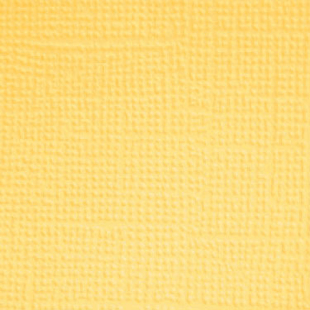 Doodlebug Design Pretty Kitty 12x12 Inch Textured Cardstock Assortment Pack (7640) (DISCONTINUED)