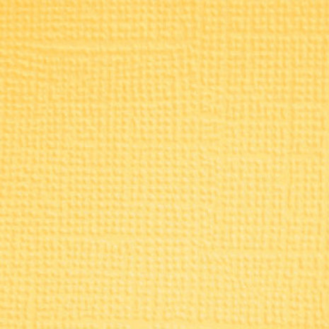 Doodlebug Design Pretty Kitty 12x12 Inch Textured Cardstock Assortment Pack (7640) (DISCONTINUED)