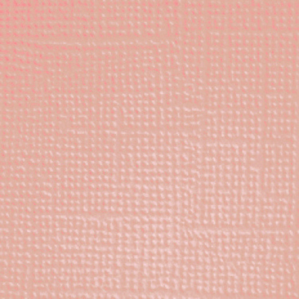 Doodlebug Design Pretty Kitty 12x12 Inch Textured Cardstock Assortment Pack (7640) (DISCONTINUED)