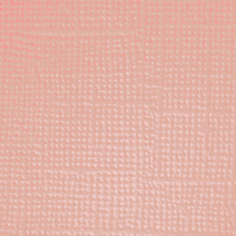 Doodlebug Design Pretty Kitty 12x12 Inch Textured Cardstock Assortment Pack (7640) (DISCONTINUED)