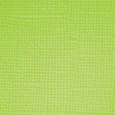 Doodlebug Design Doggone Cute 12x12 Inch Textured Cardstock Assortment Pack (7686) (DISCONTINUED) Doodlebug Design Doggone Cute 12x12 Inch Textured Cardstock Assortment Pack (7686) (DISCONTINUED)