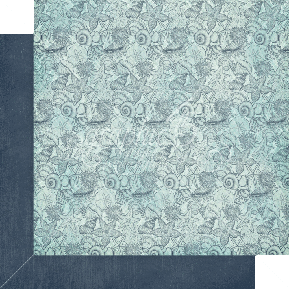 Graphic 45 Make a Splash 12x12 Inch Patterns & Solids Pack (4502668) (DISCONTINUED)