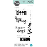 Sizzix Clear Stamps by Lisa Jones Spring Sentiments (5pcs) (665828) (DISCONTINUED)