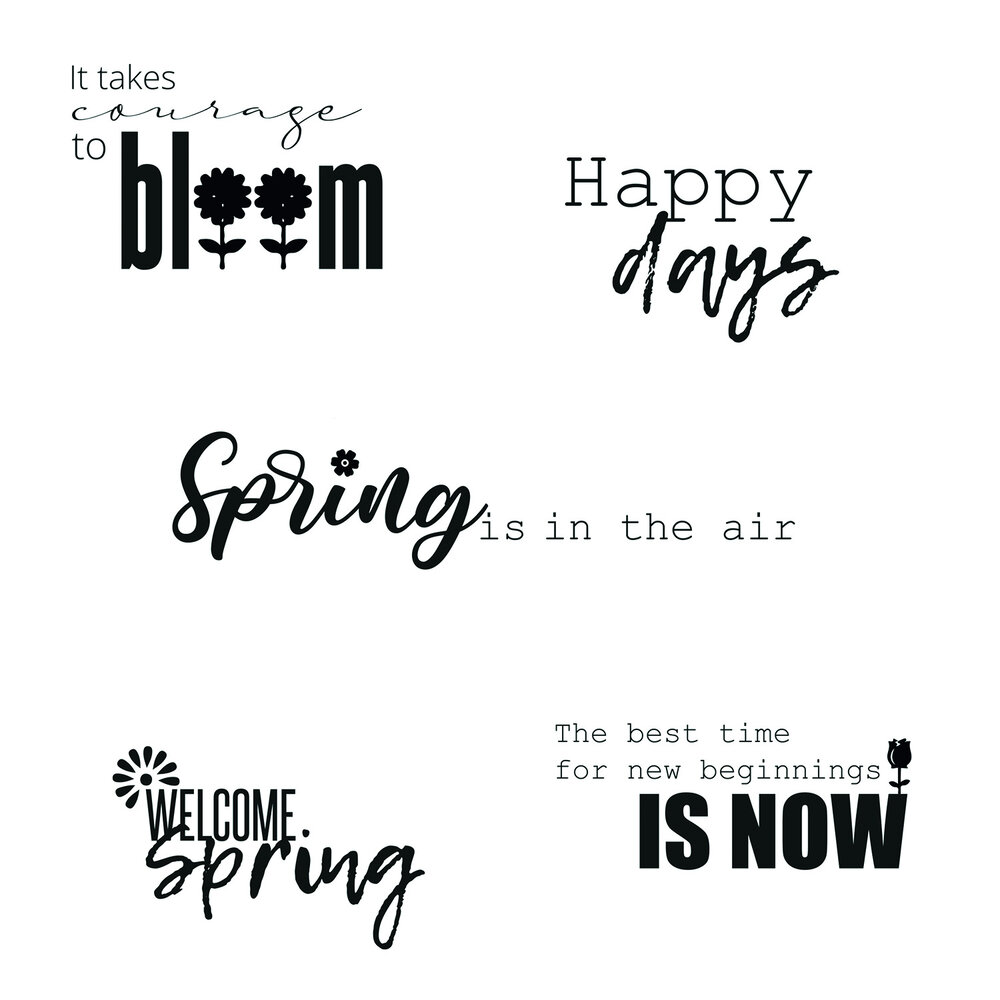 Sizzix Clear Stamps by Lisa Jones Spring Sentiments (5pcs) (665828) (DISCONTINUED)