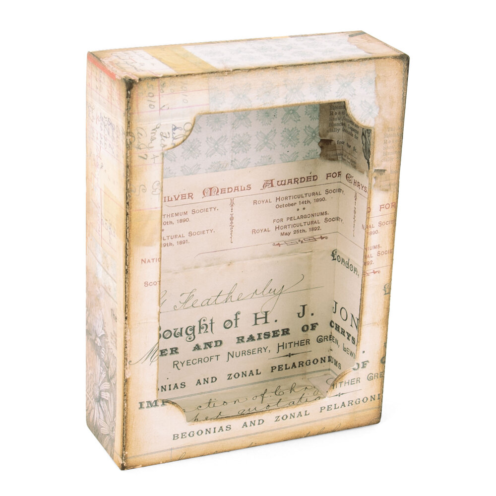 Sizzix Bigz XL Die w/Framelits by Tim Holtz Curio Box (664419) (DISCONTINUED)