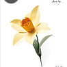 Sizzix Bigz L Die by Olivia Rose Daffodil (665107) (OUTLET)
