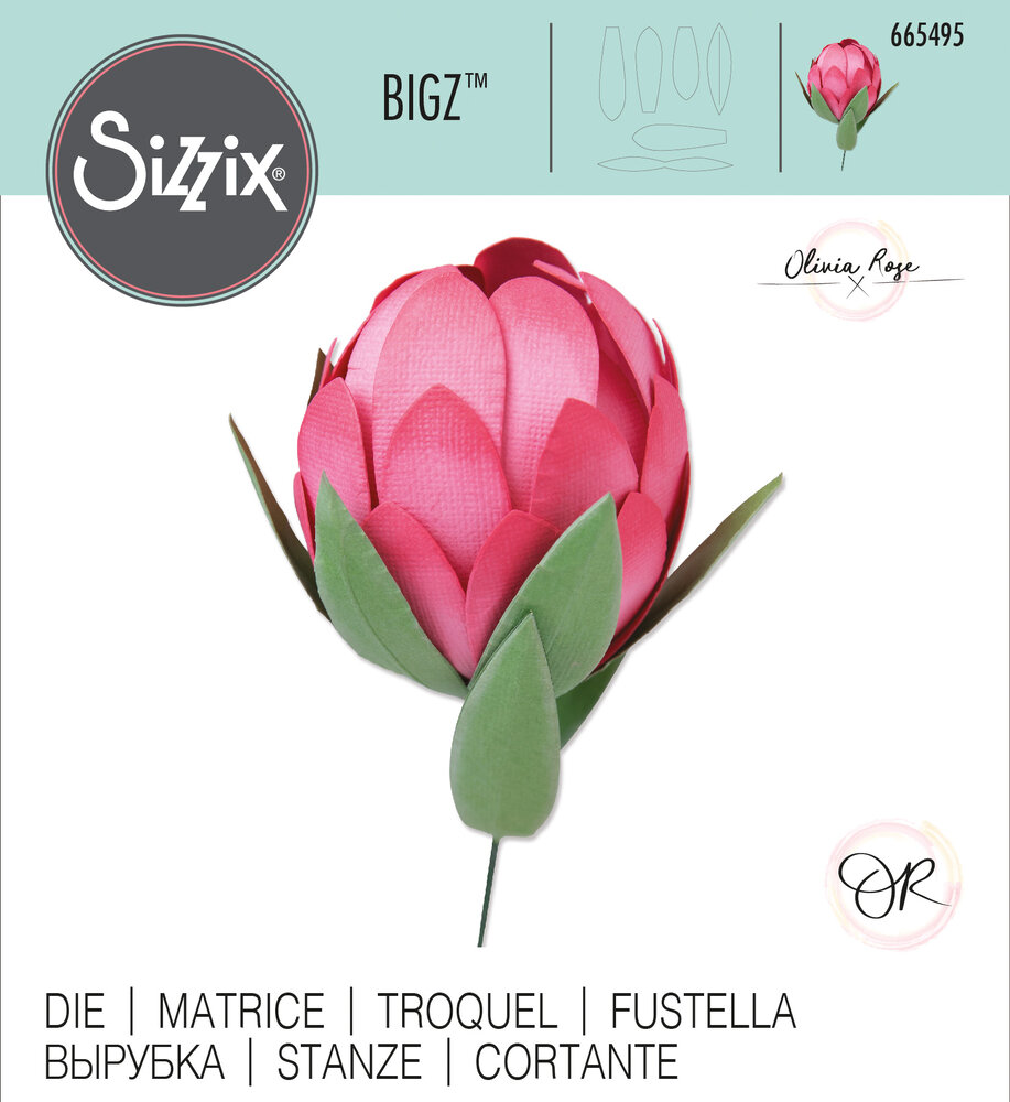 Sizzix Bigz Die by Olivia Rose Protea (665495) (OUTLET)