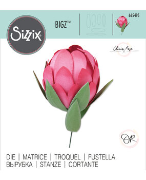 Sizzix Bigz Die by Olivia Rose Protea (665495) (DISCONTINUED) Sizzix Bigz Die by Olivia Rose Protea (665495) (DISCONTINUED)