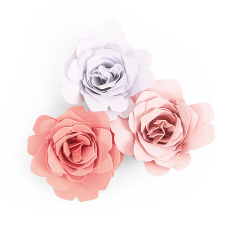 Sizzix Bigz Die by Jennifer Ogborn Grace (663848) (DISCONTINUED)