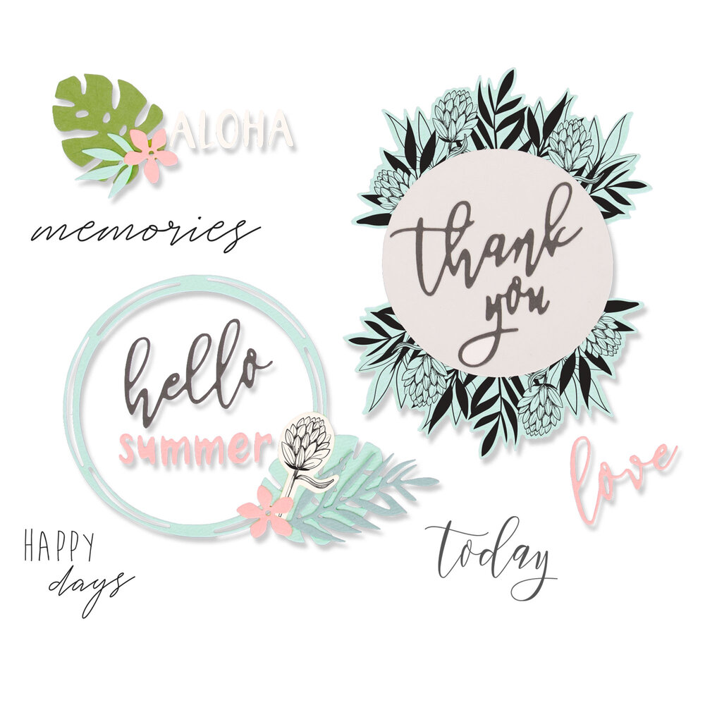 Sizzix Framelits Die w/Stamps by Sophie Guilar Detailed Tropics (13+5pcs) (663861) (DISCONTINUED) Sizzix Framelits Die w/Stamps by Sophie Guilar Detailed Tropics (13+5pcs) (663861) (DISCONTINUED)