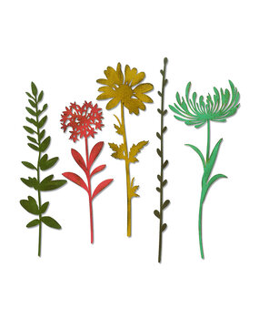 Sizzix Thinlits Die by Tim Holtz Wildflower Stems #1 (5pcs) (664163) Sizzix Thinlits Die by Tim Holtz Wildflower Stems #1 (5pcs) (664163)