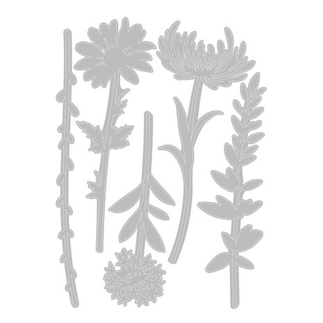 Sizzix Thinlits Die by Tim Holtz Wildflower Stems #1 (5pcs) (664163) Sizzix Thinlits Die by Tim Holtz Wildflower Stems #1 (5pcs) (664163)