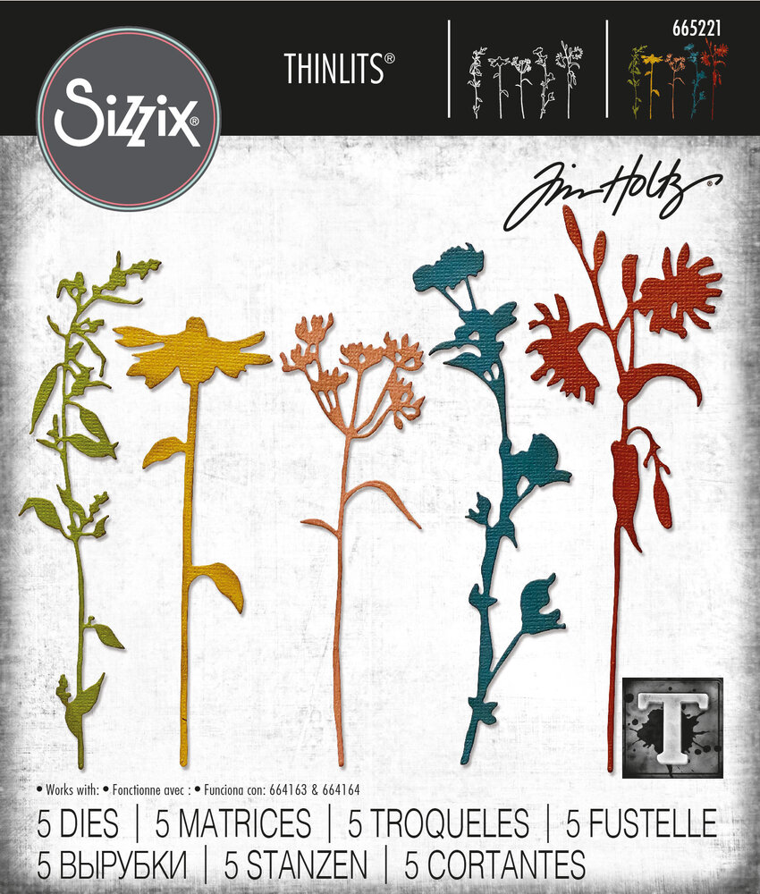Sizzix Thinlits Die by Tim Holtz Wildflower Stems #3 (5pcs) (665221)
