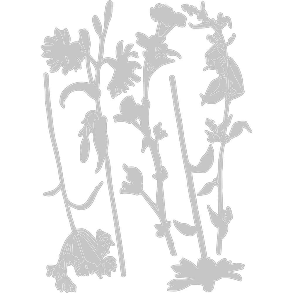 Sizzix Thinlits Die by Tim Holtz Wildflower Stems #3 (5pcs) (665221)