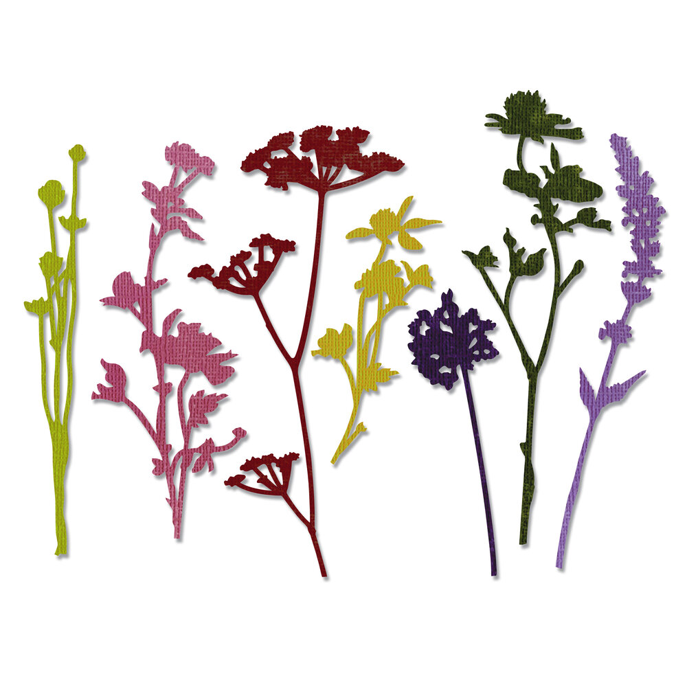 Sizzix Thinlits Die by Tim Holtz Wildflowers (7pcs) (661190) Sizzix Thinlits Die by Tim Holtz Wildflowers (7pcs) (661190)