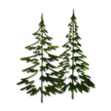 Sizzix Thinlits Die by Tim Holtz Woodlands (2pcs) (660978) Sizzix Thinlits Die by Tim Holtz Woodlands (2pcs) (660978)