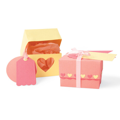 Sizzix Thinlits Plus Die by Jenna Rushforth Box & Labels (10pcs) (663853) (DISCONTINUED) Sizzix Thinlits Plus Die by Jenna Rushforth Box & Labels (10pcs) (663853) (DISCONTINUED)