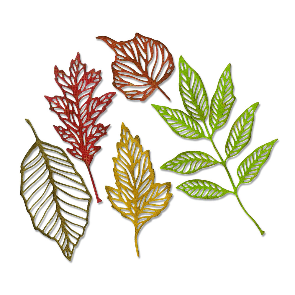 Sizzix Thinlits Die by Tim Holtz Skeleton Leaves (5pcs) (663094)