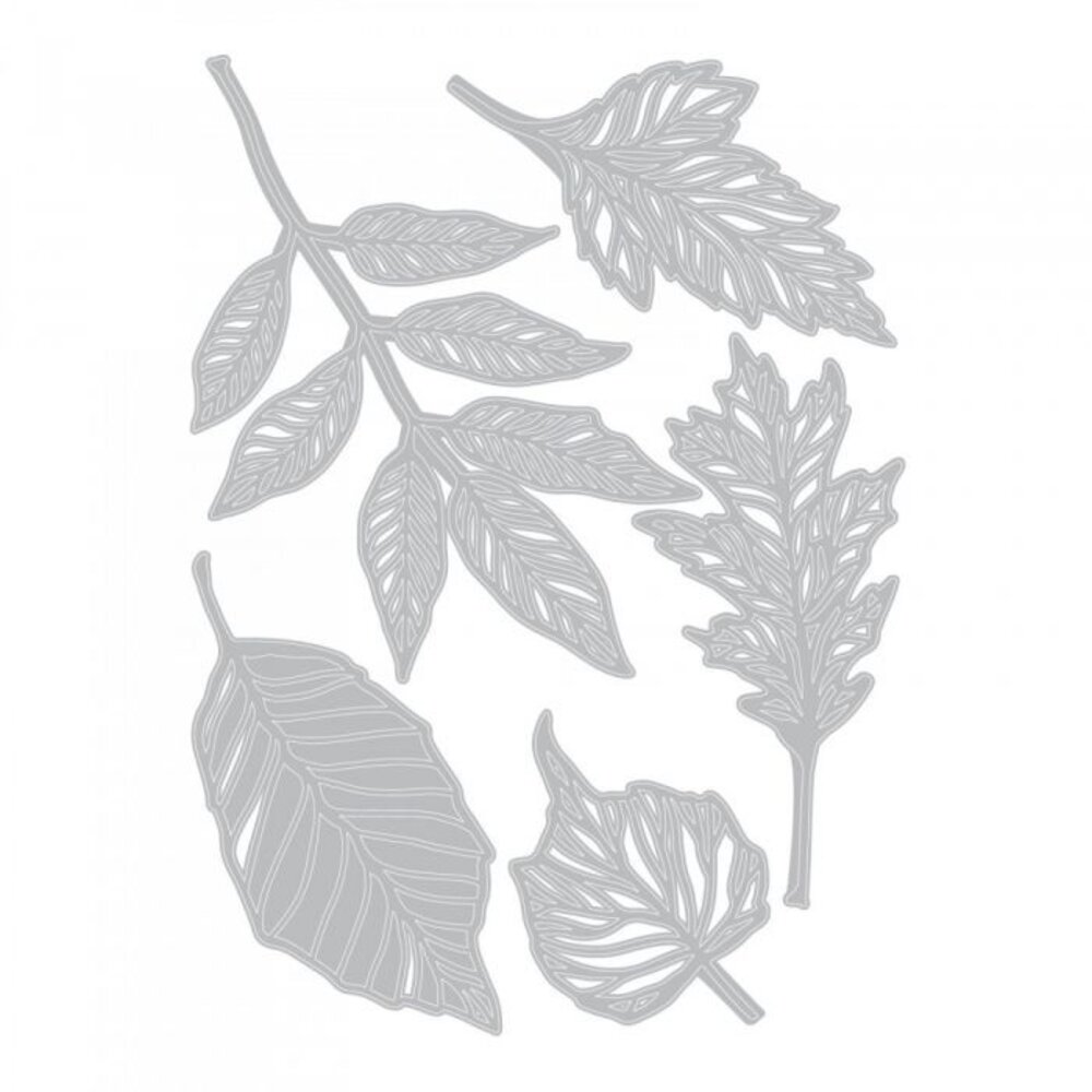 Sizzix Thinlits Die by Tim Holtz Skeleton Leaves (5pcs) (663094)