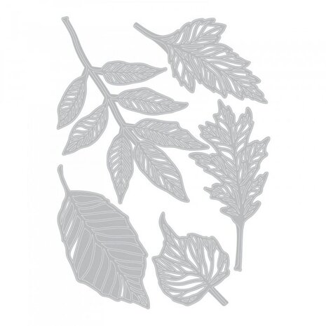 Sizzix Thinlits Die by Tim Holtz Skeleton Leaves (5pcs) (663094)