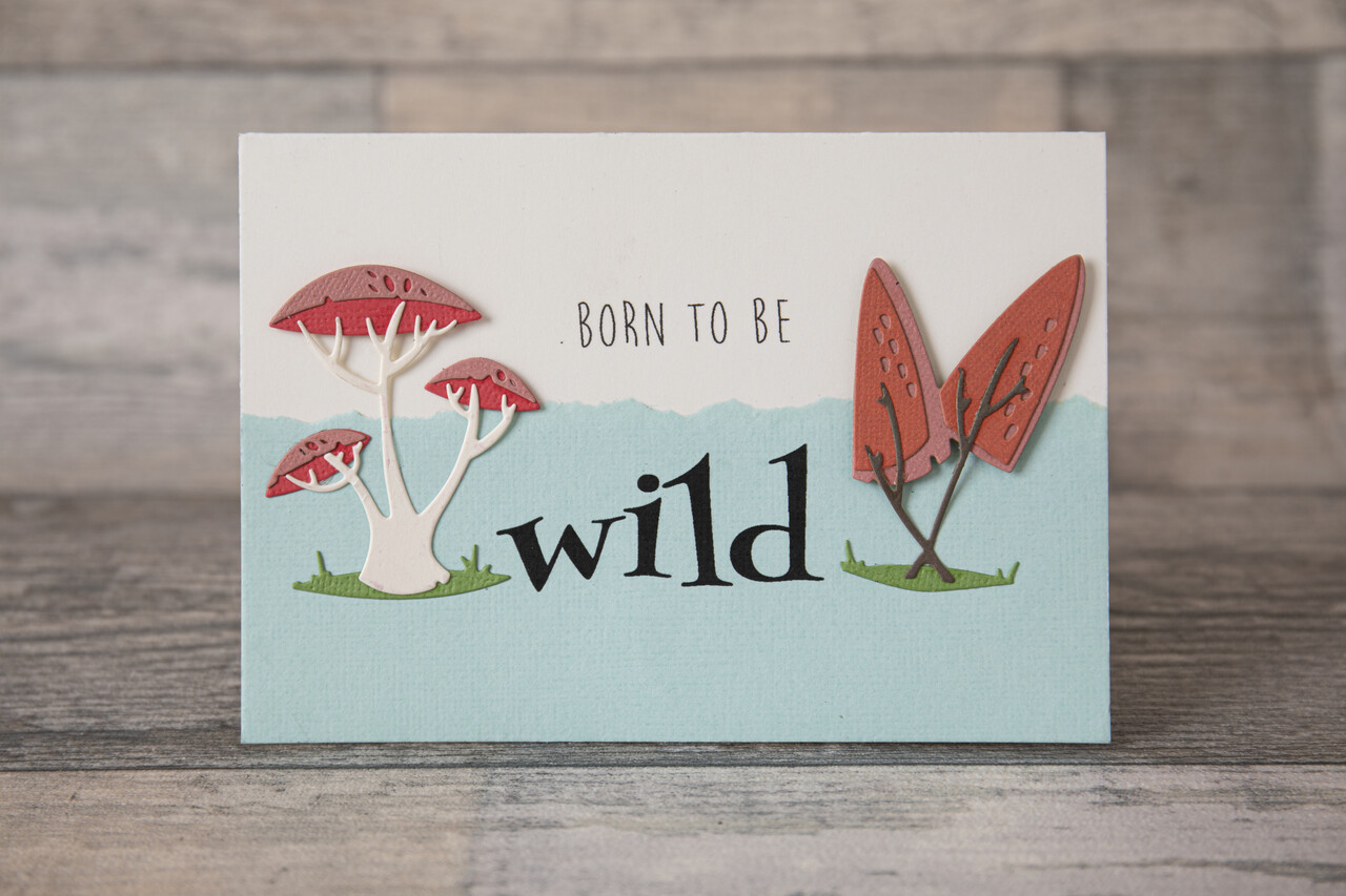 Sizzix Thinlits Die by Tim Holtz Funky Toadstools (5pcs) (665216) (DISCONTINUED) Sizzix Thinlits Die by Tim Holtz Funky Toadstools (5pcs) (665216) (DISCONTINUED)