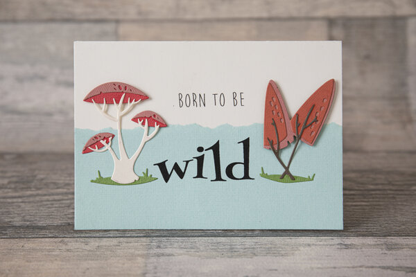 Sizzix Thinlits Die by Tim Holtz Funky Toadstools (5pcs) (665216) (DISCONTINUED) Sizzix Thinlits Die by Tim Holtz Funky Toadstools (5pcs) (665216) (DISCONTINUED)