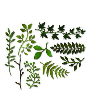 Sizzix Thinlits Die by Tim Holtz Garden Greens (9pcs) (661206) Sizzix Thinlits Die by Tim Holtz Garden Greens (9pcs) (661206)