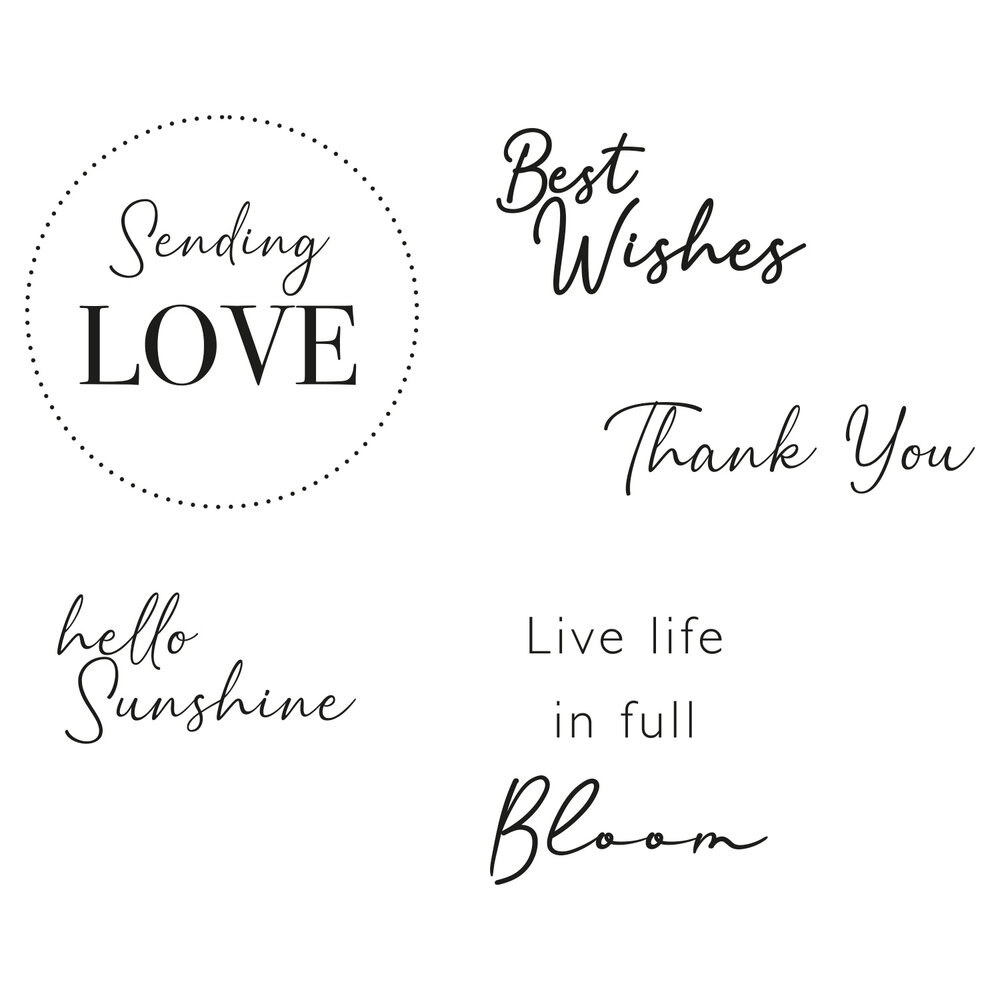 Sizzix Clear Stamps by Lisa Jones Everyday Wishes (6pcs) (665716) (DISCONTINUED)