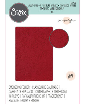 Sizzix Multi-Level Textured Impressions by Jennifer Ogborn Winter Pattern (665972) (DISCONTINUED)