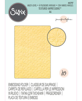 Sizzix Multi-Level Textured Impressions by Jennifer Ogborn Flower Power (665747) (DISCONTINUED) Sizzix Multi-Level Textured Impressions by Jennifer Ogborn Flower Power (665747) (DISCONTINUED)