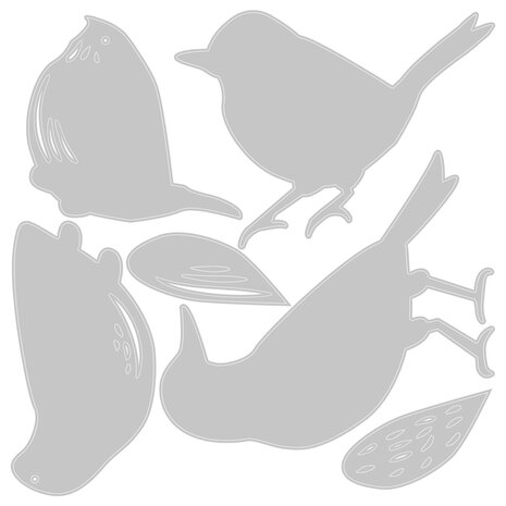 Sizzix Thinlits Die by Tim Holtz Feathered Friends (6pcs) (664433) Sizzix Thinlits Die by Tim Holtz Feathered Friends (6pcs) (664433)