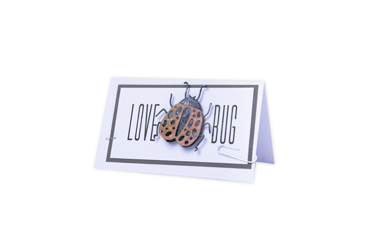 Sizzix Thinlits Die by Tim Holtz Funky Insects (5pcs) (665364) Sizzix Thinlits Die by Tim Holtz Funky Insects (5pcs) (665364)