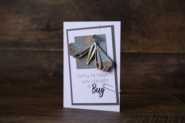 Sizzix Thinlits Die by Tim Holtz Funky Insects (5pcs) (665364) Sizzix Thinlits Die by Tim Holtz Funky Insects (5pcs) (665364)