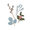 Sizzix Thinlits Die by Sophie Guilar Winter Leaves (5pcs) (663425) (DISCONTINUED) Sizzix Thinlits Die by Sophie Guilar Winter Leaves (5pcs) (663425) (DISCONTINUED)