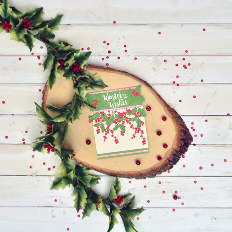 Sizzix Thinlits Die by Sophie Guilar Winter Leaves (5pcs) (663425) (DISCONTINUED)