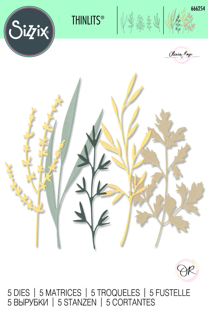 Sizzix Thinlits Die by Olivia Rose Woodland Stems (5pcs) (666254) (DISCONTINUED)