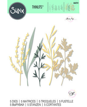 Sizzix Thinlits Die by Olivia Rose Woodland Stems (5pcs) (666254) (DISCONTINUED) Sizzix Thinlits Die by Olivia Rose Woodland Stems (5pcs) (666254) (DISCONTINUED)