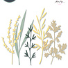 Sizzix Thinlits Die by Olivia Rose Woodland Stems (5pcs) (666254) Sizzix Thinlits Die by Olivia Rose Woodland Stems (5pcs) (666254)