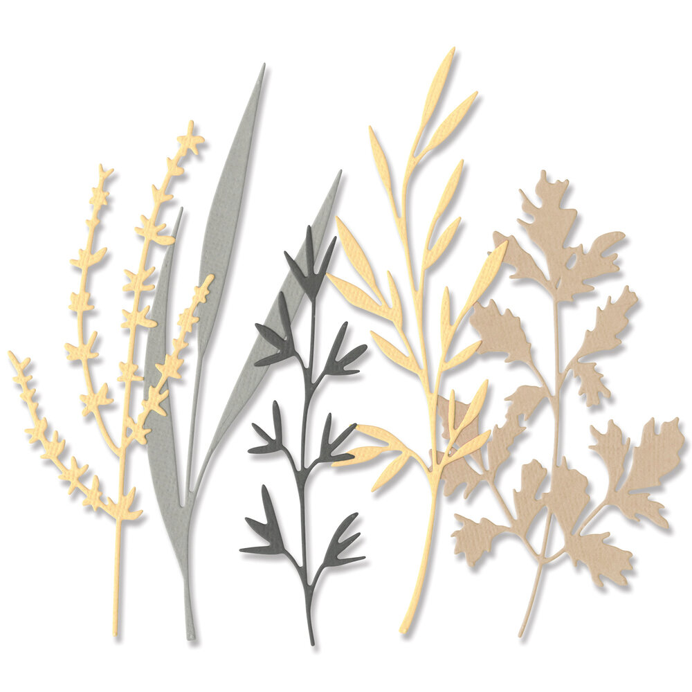 Sizzix Thinlits Die by Olivia Rose Woodland Stems (5pcs) (666254) (DISCONTINUED) Sizzix Thinlits Die by Olivia Rose Woodland Stems (5pcs) (666254) (DISCONTINUED)