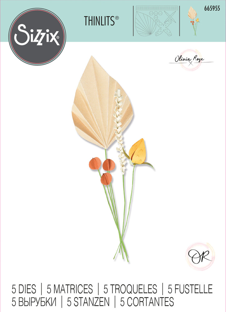 Sizzix Thinlits Die by Olivia Rose Ornamental Stems (5pcs) (665955) (DISCONTINUED)