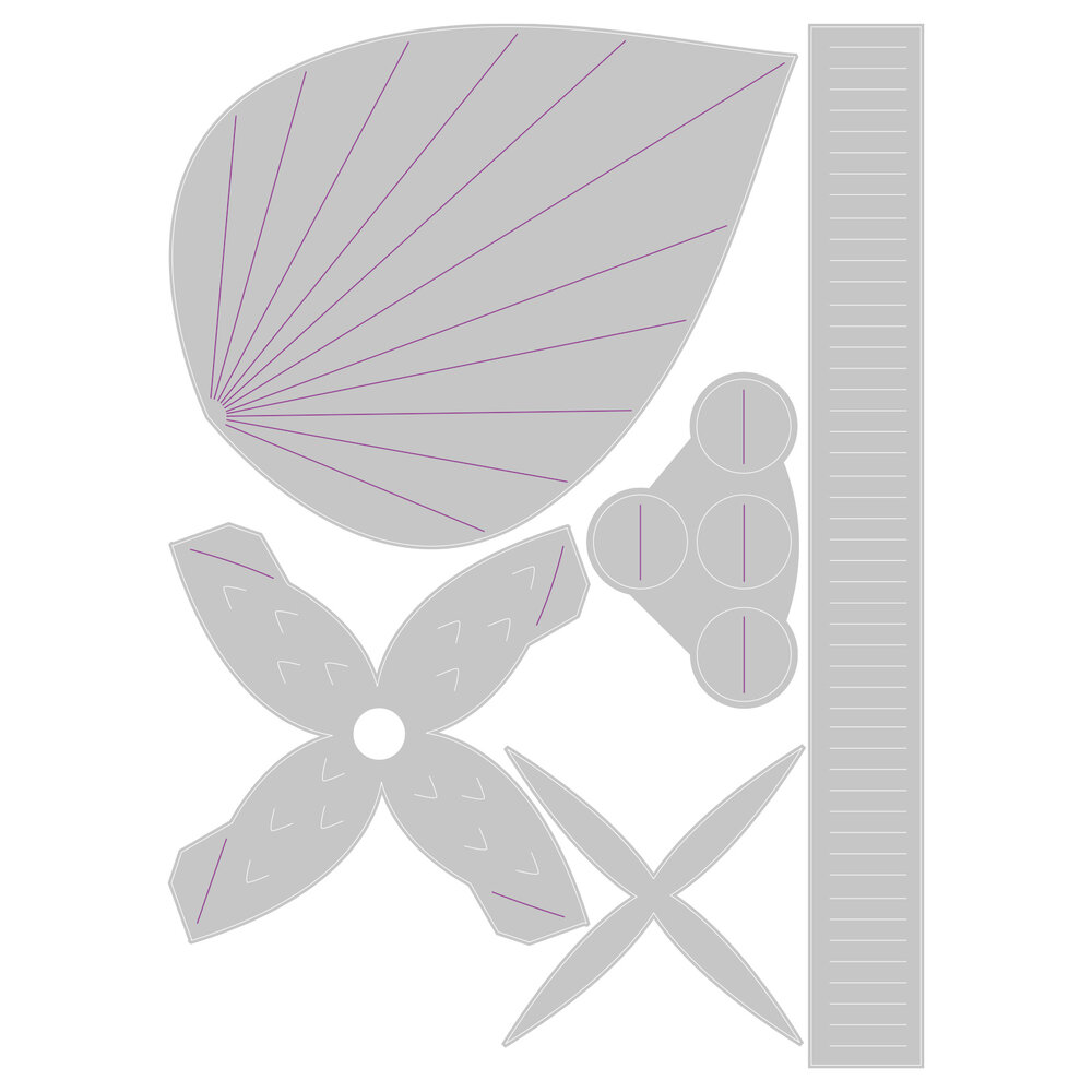 Sizzix Thinlits Die by Olivia Rose Ornamental Stems (5pcs) (665955) (DISCONTINUED)