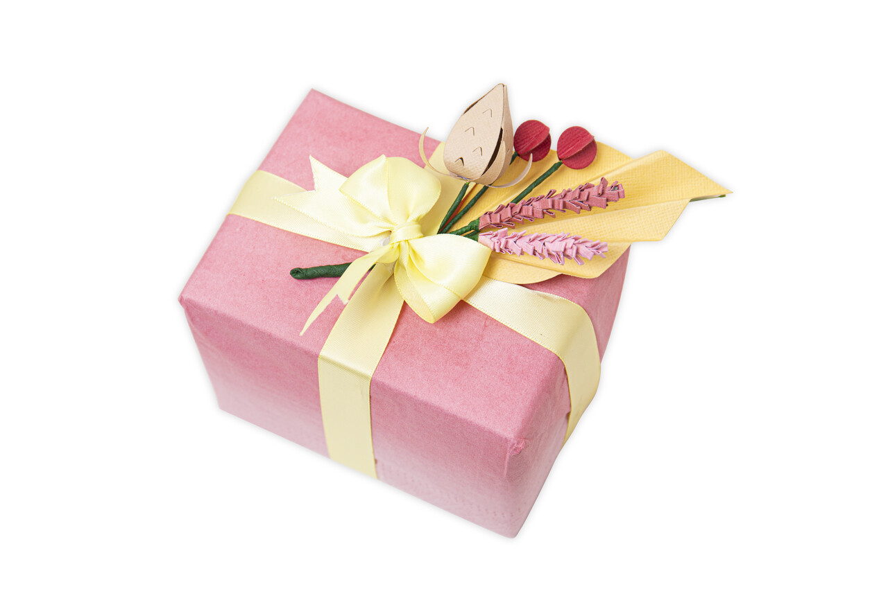 Sizzix Thinlits Die by Olivia Rose Ornamental Stems (5pcs) (665955) (DISCONTINUED) Sizzix Thinlits Die by Olivia Rose Ornamental Stems (5pcs) (665955) (DISCONTINUED)