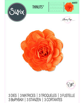Sizzix Thinlits Die by Olivia Rose Pom-Pom Flower (3pcs) (666022) (DISCONTINUED) Sizzix Thinlits Die by Olivia Rose Pom-Pom Flower (3pcs) (666022) (DISCONTINUED)