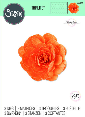 Sizzix Thinlits Die by Olivia Rose Pom-Pom Flower (3pcs) (666022) (DISCONTINUED) Sizzix Thinlits Die by Olivia Rose Pom-Pom Flower (3pcs) (666022) (DISCONTINUED)