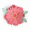 Sizzix Thinlits Die by Courtney Chilson Peony (5pcs) (663593) (DISCONTINUED) Sizzix Thinlits Die by Courtney Chilson Peony (5pcs) (663593) (DISCONTINUED)