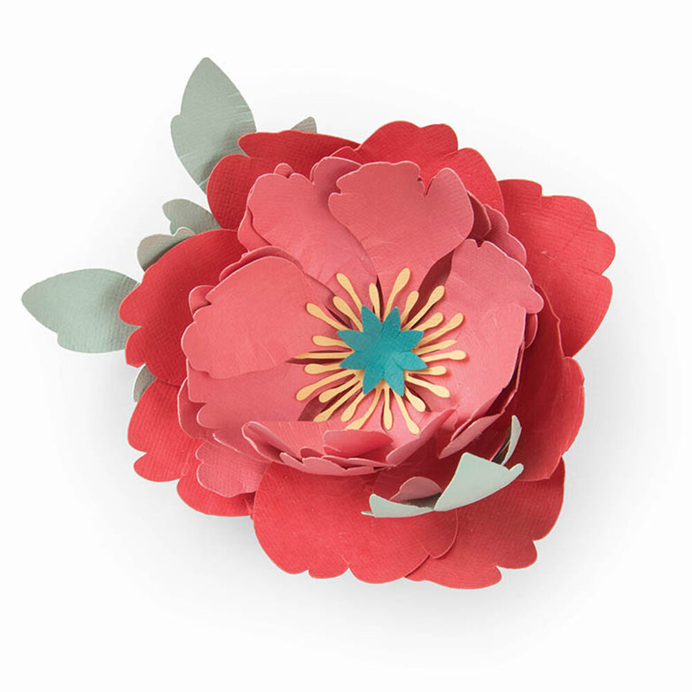 Sizzix Thinlits Die by Courtney Chilson Peony (5pcs) (663593) (DISCONTINUED)