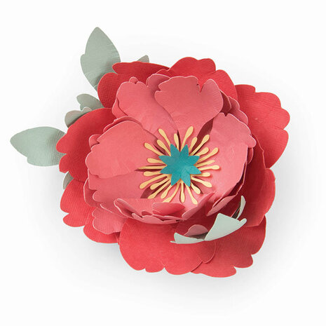 Sizzix Thinlits Die by Courtney Chilson Peony (5pcs) (663593) (DISCONTINUED)