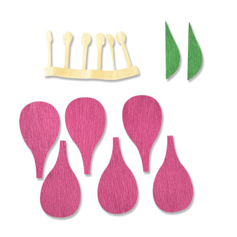 Sizzix Thinlits Die by Alexis Trimble Lisianthus (7pcs) (666246) (DISCONTINUED) Sizzix Thinlits Die by Alexis Trimble Lisianthus (7pcs) (666246) (DISCONTINUED)