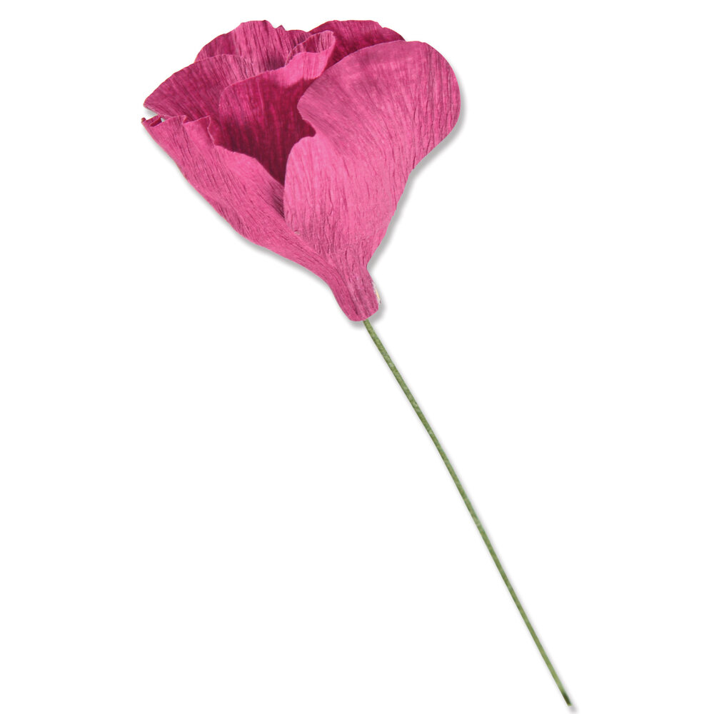 Sizzix Thinlits Die by Alexis Trimble Lisianthus (7pcs) (666246) (DISCONTINUED) Sizzix Thinlits Die by Alexis Trimble Lisianthus (7pcs) (666246) (DISCONTINUED)